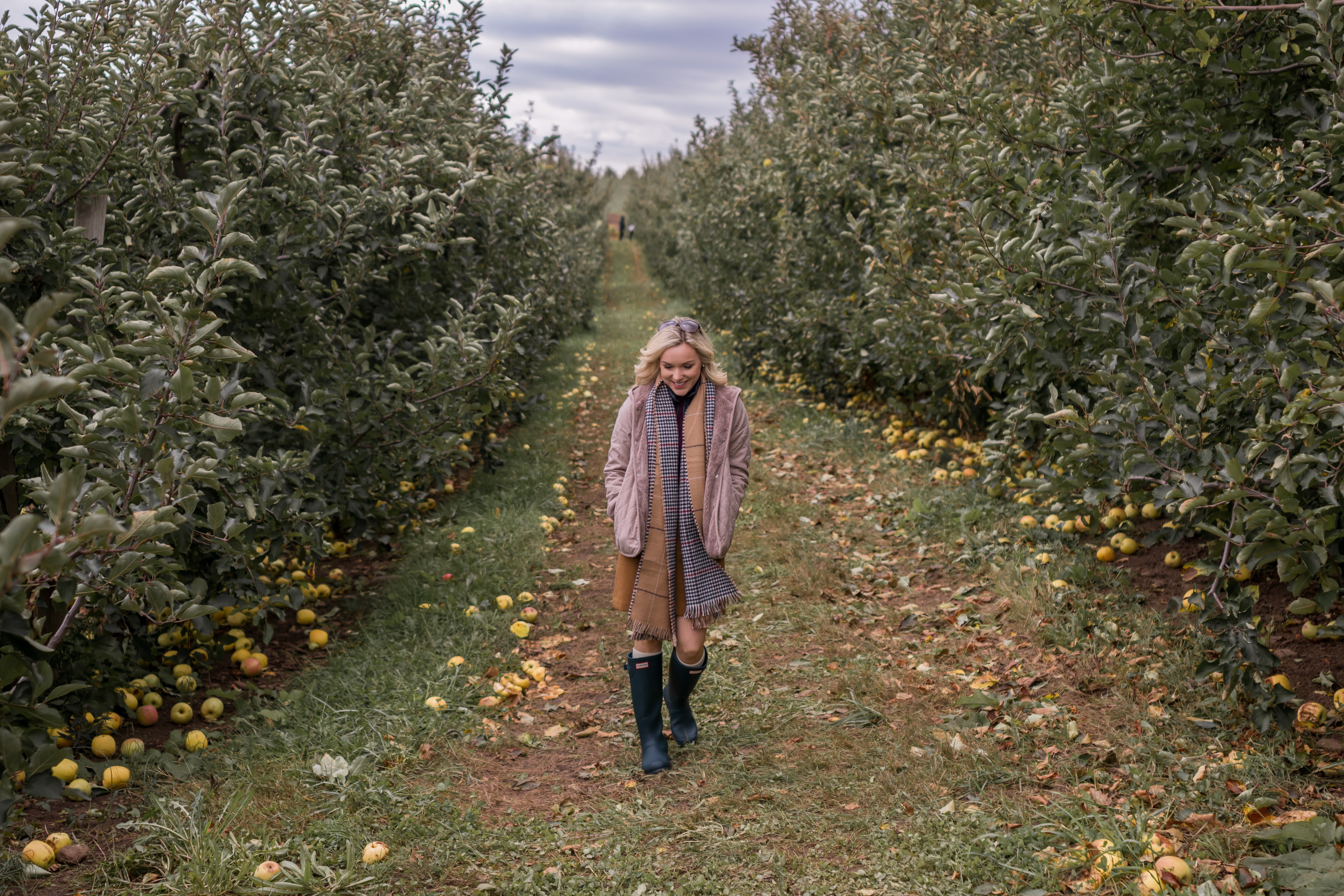 apple picking in fall connecticut