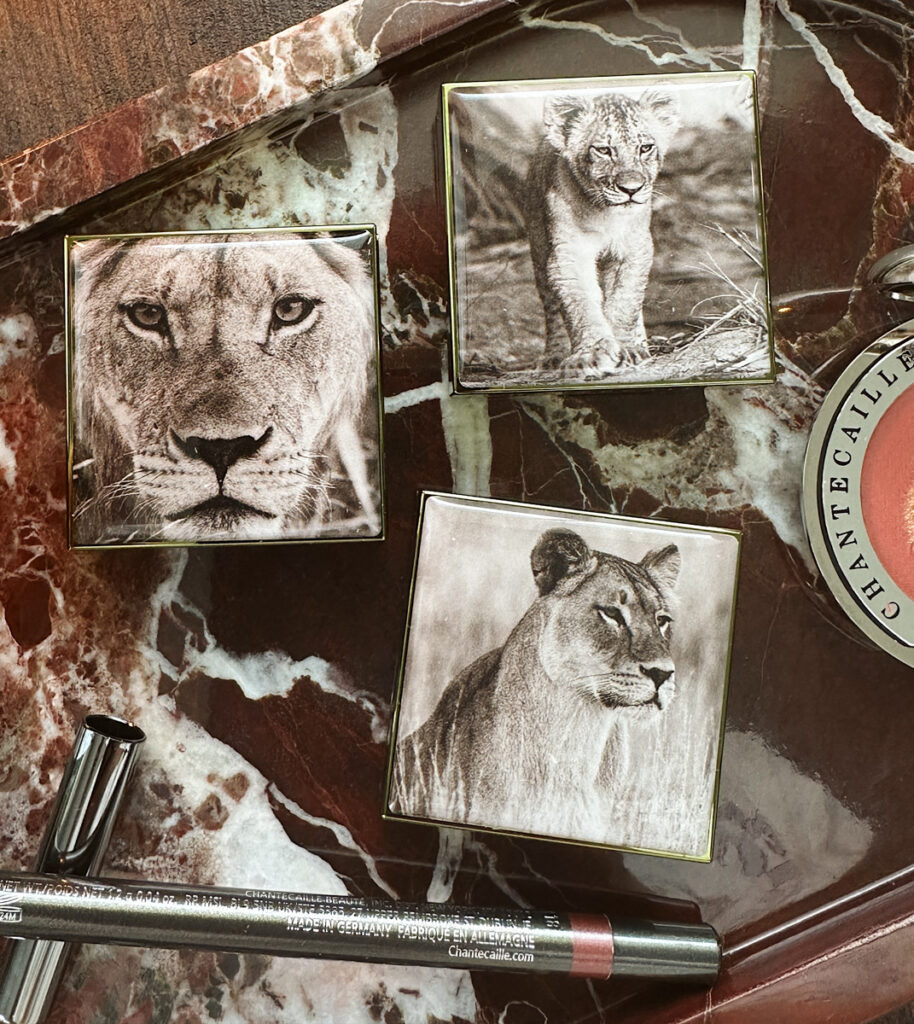Chantecaille Narika eyeshadow from the Fall 2026 Lion Collection